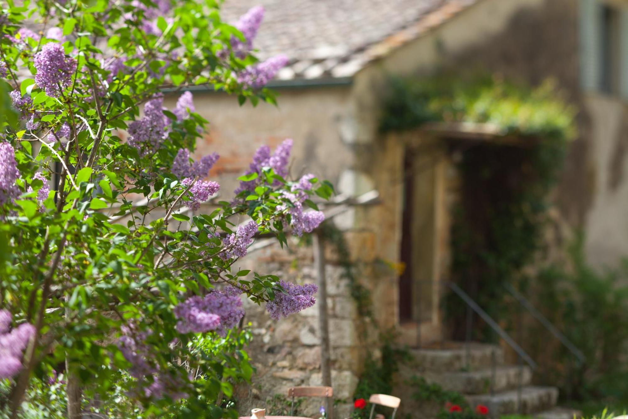Tenuta Di Spannocchia ロジア エクステリア 写真
